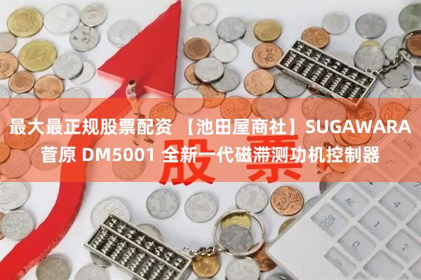 最大最正规股票配资 【池田屋商社】SUGAWARA菅原 DM5001 全新一代磁滞测功机控制器