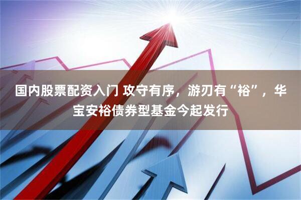 国内股票配资入门 攻守有序，游刃有“裕”，华宝安裕债券型基金今起发行